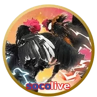 socolive
